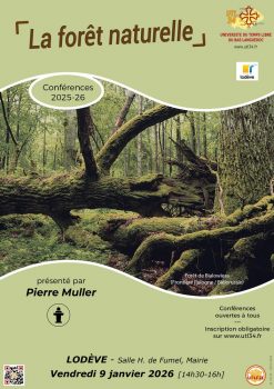 2026-01-09-LOD-MULLER