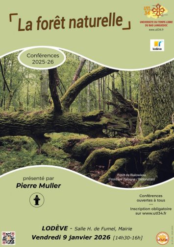 2026-01-09-LOD-MULLER