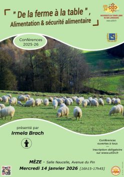 2026-01-14-MEZ-BRACH