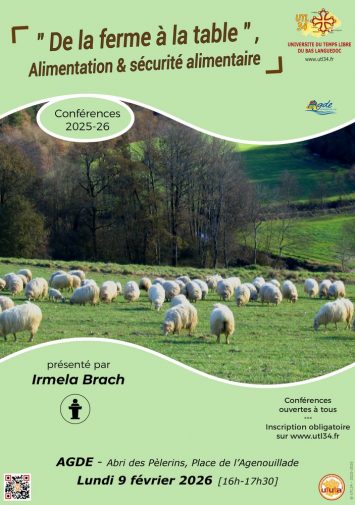 2026-02-09-AGD-BRACH