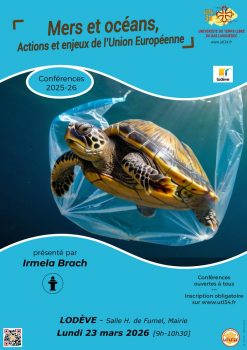 2026-03-23-LOD-BRACH